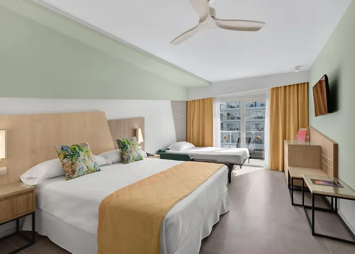 Riu Playa Park فندق 4*