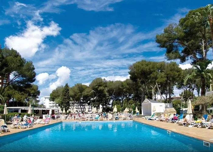 Riu Playa Park فندق